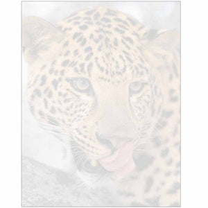 Leopard Face Stationery Letter Paper