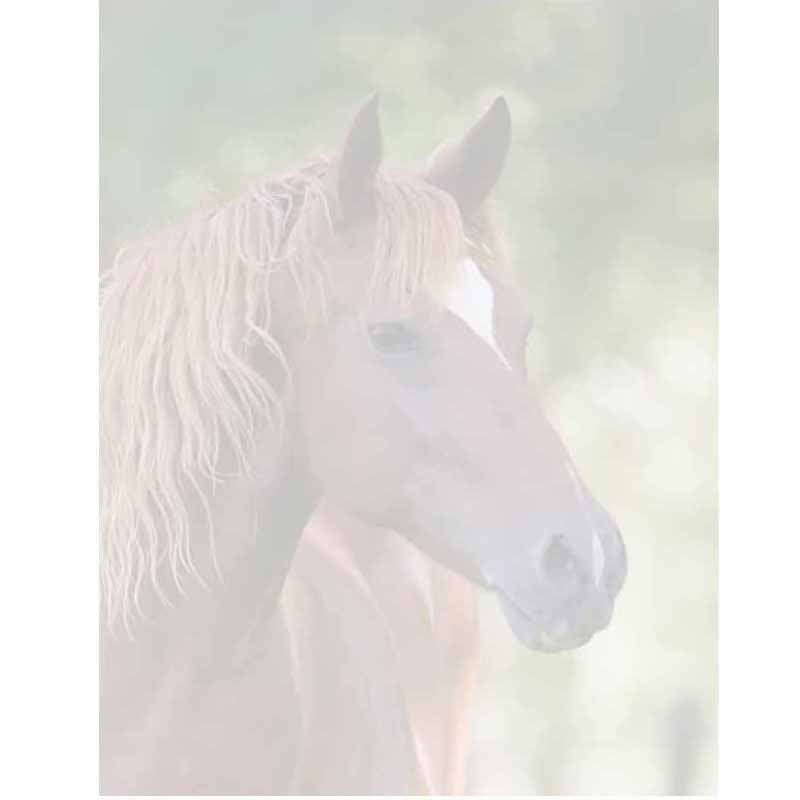 Horse Face Stationery Letter Paper