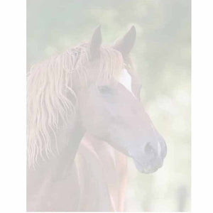 Horse Face Stationery Letter Paper